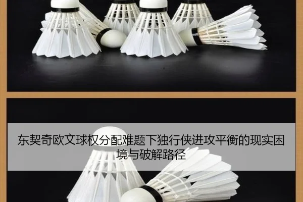 东契奇欧文球权分配难题下独行侠进攻平衡的现实困境与破解路径